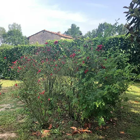 Tatil Evi Podere Elga *